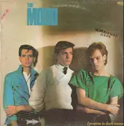 12inch Vinyl Single - The Mood - Passion In Dark Rooms = Pasion En Las Habitaciones Oscuras - Promo