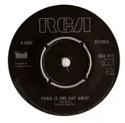 7inch Vinyl Single - The Mood - Paris Is One Day Away