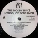 12inch Vinyl Single - The Moody Boys Introduce Screamer - What Is Dub?