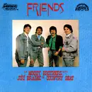CD - The Moody Brothers With Jiří Brabec & Country Beat - Friends