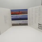 Double LP - The Maccabees - Given To The Wild - Tri-Fold-Cover