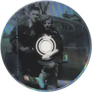 CD - The Magnetic Fields - The Wayward Bus / Distant Plastic Trees
