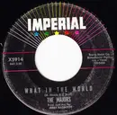 7inch Vinyl Single - The Majors - What In The World / Anything You Can Do