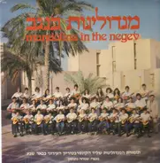 The Mandolin Youth Orchestra - Mandolins in the Negev