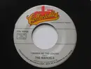 7inch Vinyl Single - The Marcels - I Wanna Be The Leader / Never Stop Loving You