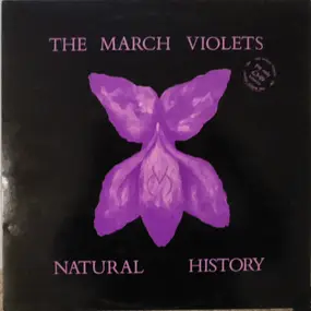 March Violets - Natural History