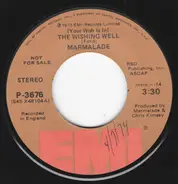 The Marmalade - (Your Wish Is In) The Wishing Well