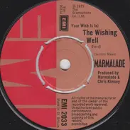 The Marmalade - (Your Wish Is In) The Wishing Well