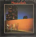 LP - The Marmalade - The Only Light On My Horizon Now