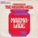 7inch Vinyl Single - The Marmalade - (Your Wish Is In) The Wishing Well