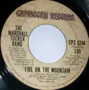 7inch Vinyl Single - The Marshall Tucker Band - Fire On The Mountain