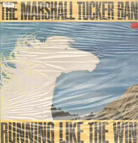 The Marshall Tucker Band - Running Like the Wind