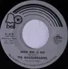 7inch Vinyl Single - The Masqueraders - How Big Is Big