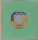 7inch Vinyl Single - The McGraw Brothers - Chantilly Lace - Original US
