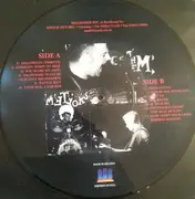 Picture Disc - The Meteors - Bastard Sons Of A Rock 'N' Roll Devil - Picture Disc