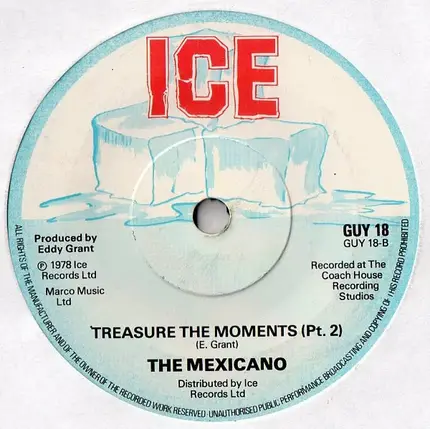 The Mexicano - Treasure The Moments