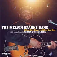 The Melvin Sparks Band - What You Hear Is What You Get
