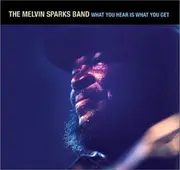 CD - The Melvin Sparks Band - What You Hear Is What You Get