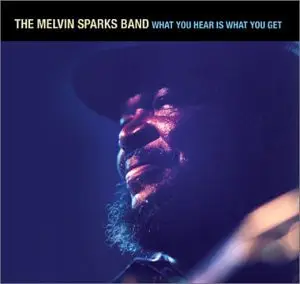 The Melvin Sparks Band - What You Hear Is What You Get