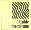 7inch Vinyl Single - The Membranes - Fléxible Membrane - Yellow Sleeve