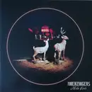 LP - The Menzingers - Hello Exile