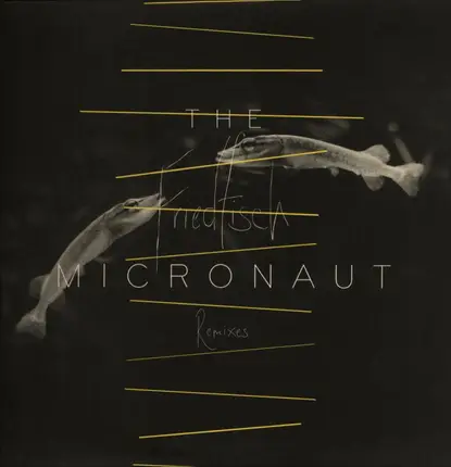 The Micronaut - Friedfisch EP