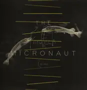 12inch Vinyl Single - The Micronaut - Friedfisch EP