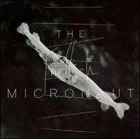 the micronaut - Friedfisch EP