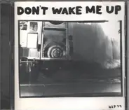 The Microphones - Don't Wake Me Up