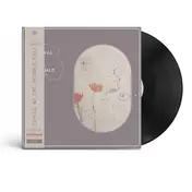 The Middle East - The Songs Of The Middle East