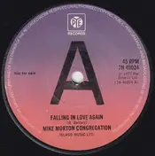 The Mike Morton Congregation - Falling In Love Again