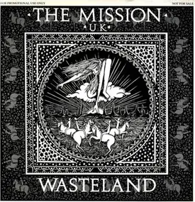 Mission - Wasteland