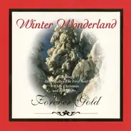 The Mistletoe Orchestra - Winter Wonderland