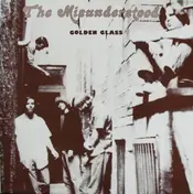 Misunderstood - Golden Glass