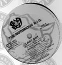 12'' - The Notorious B.I.G. - Last Day / I Got A Story To Tell