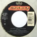 7inch Vinyl Single - The Normaltown Flyers - Rockin' The Love Boat