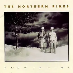 Northern Pikes - Snow in June