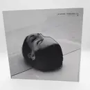 Double LP - The National - Trouble Will Find Me - Die-cut Boxset, Art Work, ltd. Edition