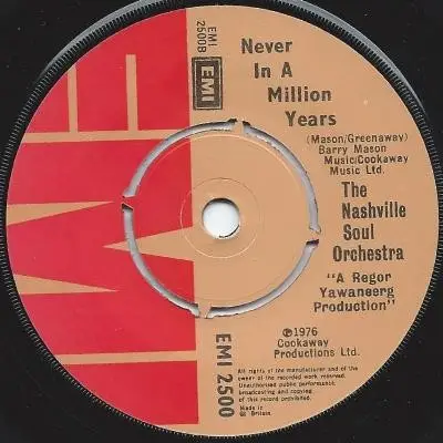 The Nashville Soul Orchestra - Can U Dig It/ Never In A Million Years