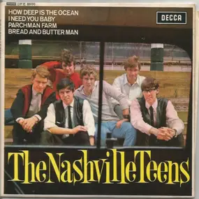 The Nashville Teens - The Nashville Teens