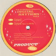 The New Aluminists - Digital Rhythms Vol. 2