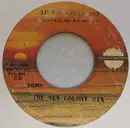 7inch Vinyl Single - The New Colony Six - If You Could See / Roll On