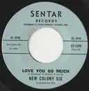7inch Vinyl Single - The New Colony Six - Love You So Much / Let Me Love You - Mono