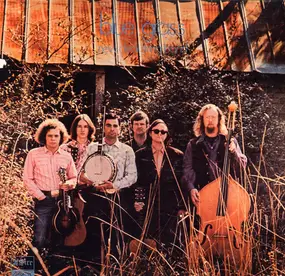 The New Deal String Band - Blue Grass