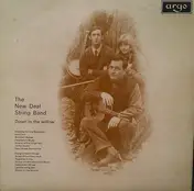The New Deal String Band - Down In The Willow