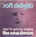 7inch Vinyl Single - The New Dream - Soft Delights