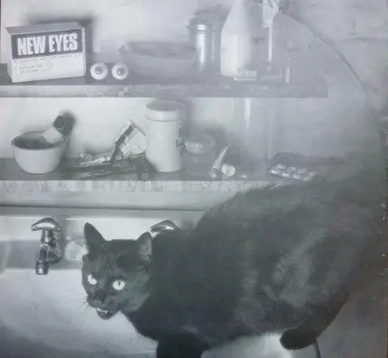 The New Eyes - Black Cat's Eyes