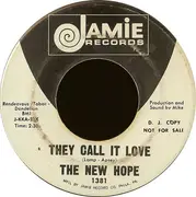 7inch Vinyl Single - The New Hope - Won't Find Better (Than Me) / They Call It Love
