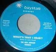 The New Horizon Singers - What's That I Hear