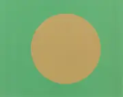 CD - The New Pornographers - Twin Cinema